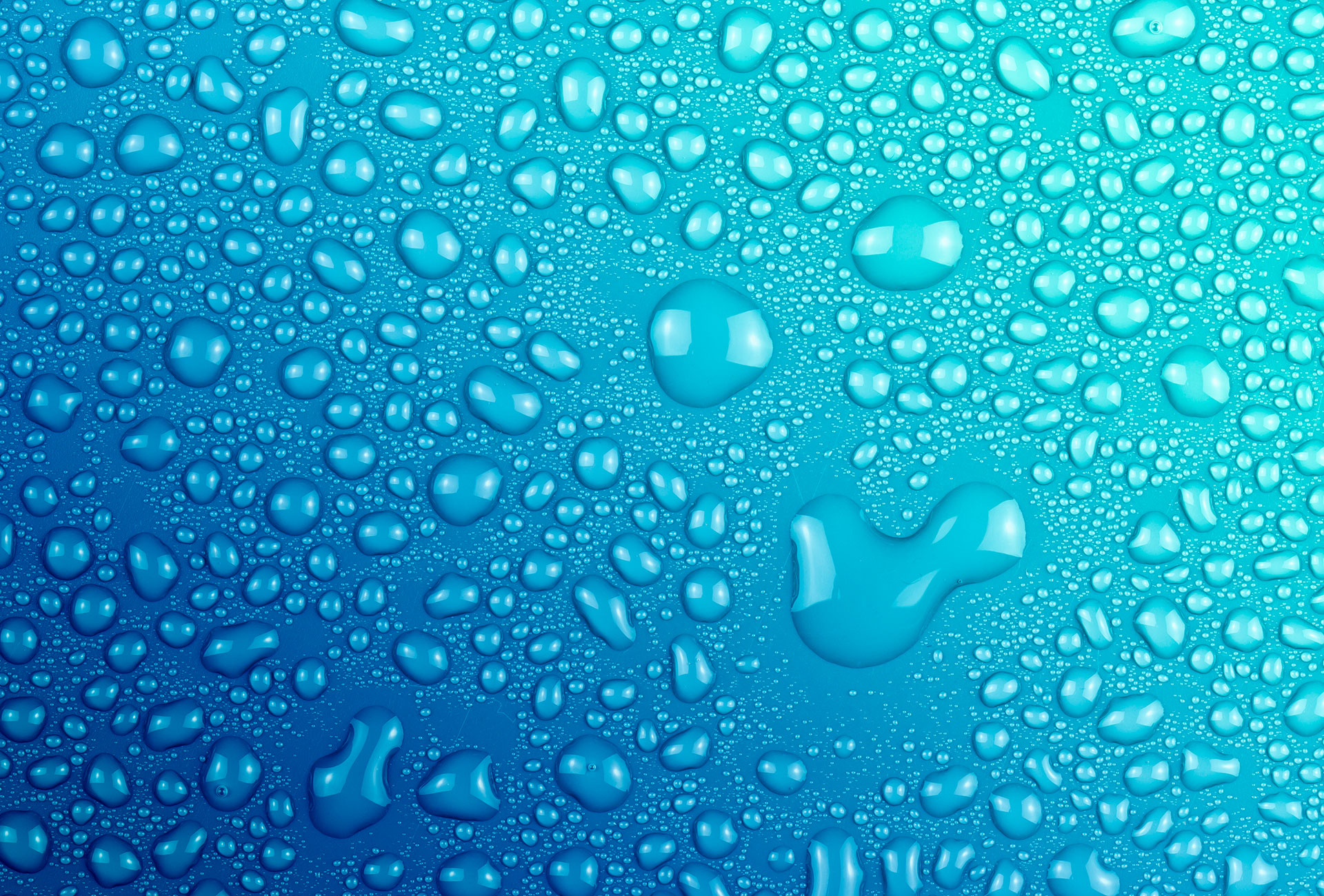 Projects Background