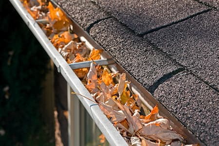 Do My Gutters Really Need Cleaning Every Season? A Bremerton Homeowner’s Guide