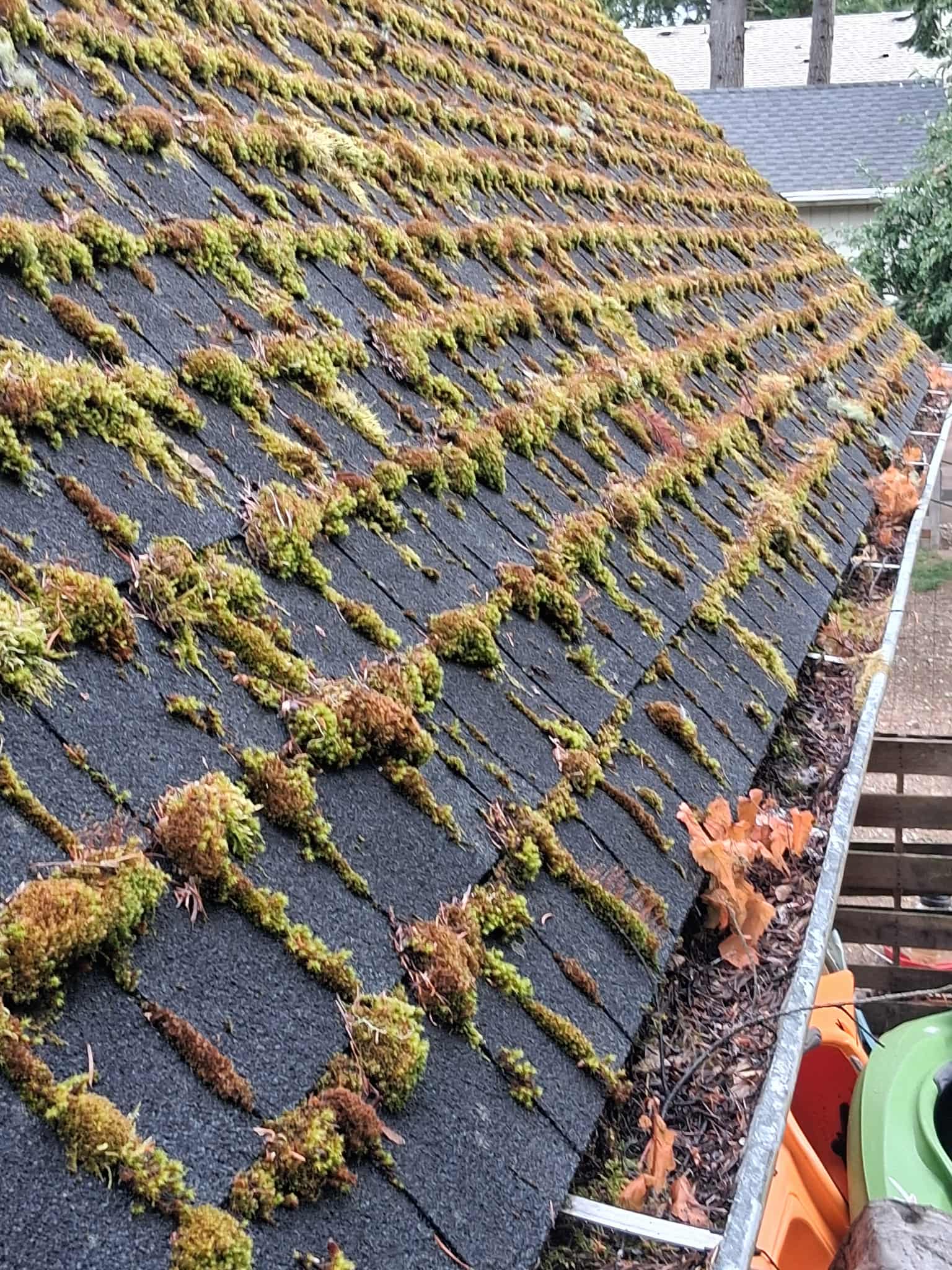 Roof and Gutter Cleaning Transformation
