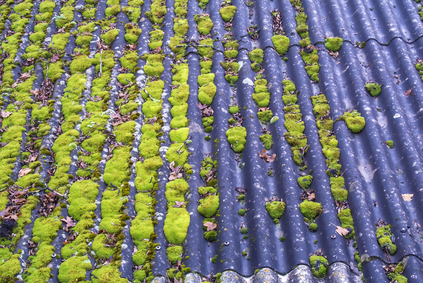 Moss Roof Treatment